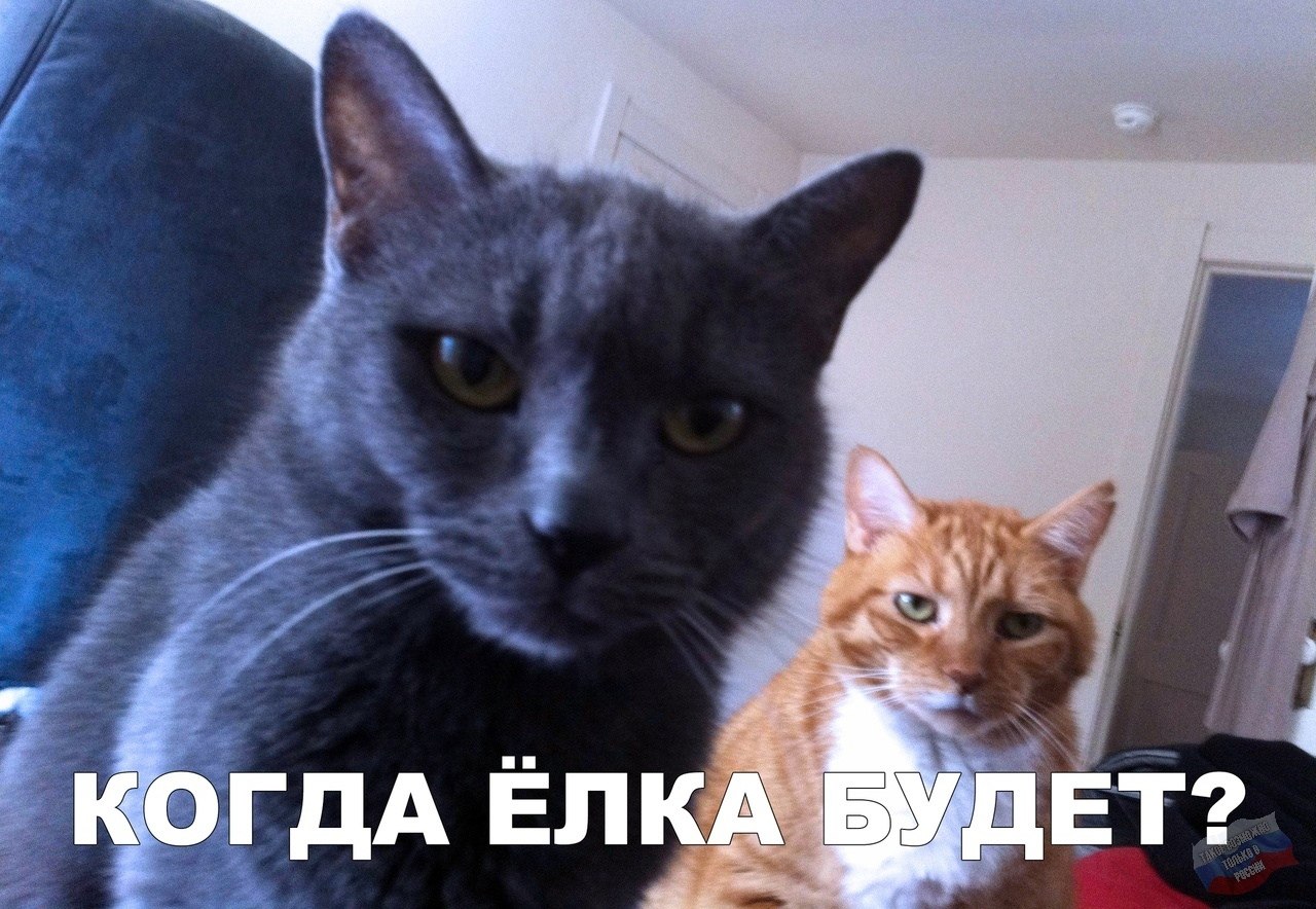 ~*��������*~ - 6 ������� 2018 � 16:11