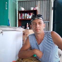 �������, ����������, 46 ���