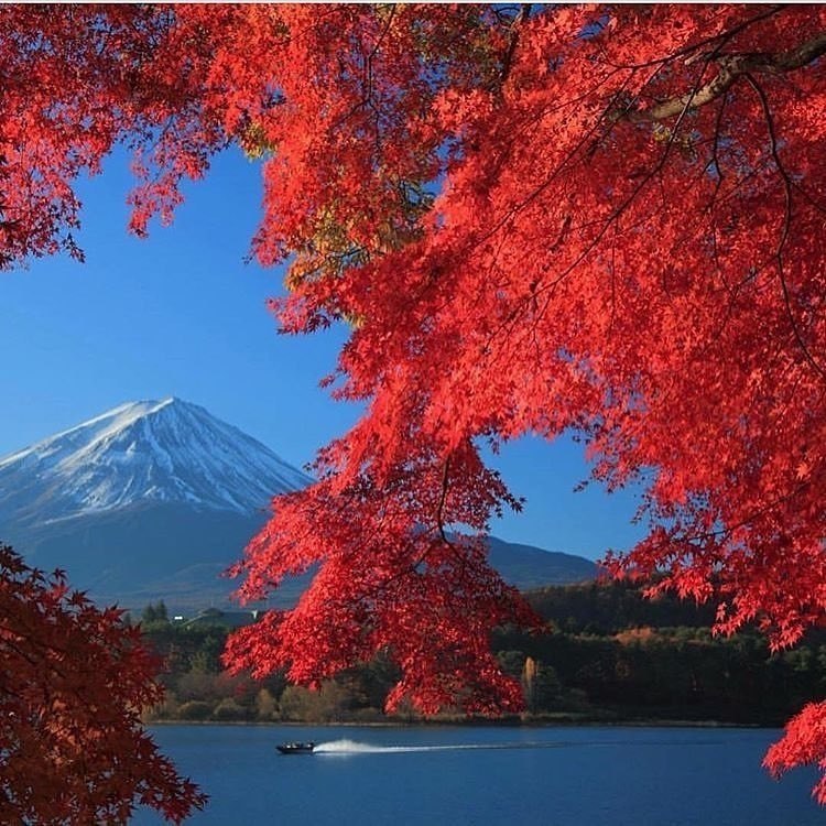 Mt. Fuji