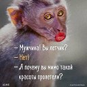  Elena, , 71  -  28  2018    