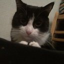 ���� �������, ����, 46 ��� - ��������� 25 ������� 2019 � ������ ������ ��������