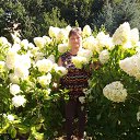 ���� �������, ������, 58 ��� - ��������� 28 ������� 2018 � ������ ���� ����������