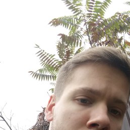 ������, 29 ���, ������� ����