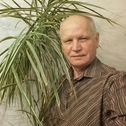 ����, ��������