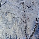 ���� �����, ������������, 48 ��� - ��������� 19 ������ 2019 � ������ ������ ��������