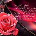 ���� �����, ��� - ��������� 24 ������� 2018 � ������ ������ ��������