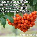 ���� �����, ������, 41 ��� - ��������� 31 ������� 2018 � ������ ������ ��������