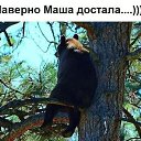 ���� ***�����***, ������� - ��������� 6 ������� 2018 � ������ ������ ��������