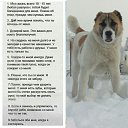 ���� ������, ��������������, 54 ���� - ��������� 19 ����� 2019 � ������ ������ ��������