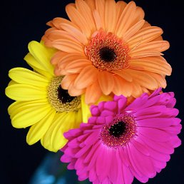 ���� - ��� � 27, �����, 27 ���