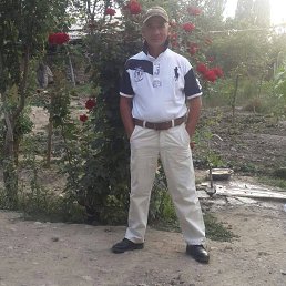 �������, ������, 52 ����