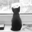  Robert, , 40  -  8  2018    