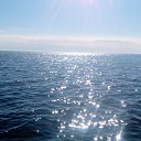 ���� ��������, �������������, 54 ���� - ��������� 25 ������ 2018