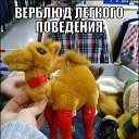 ���� �����, ������� ����� - ��������� 17 ������ 2019 � ������ �������
