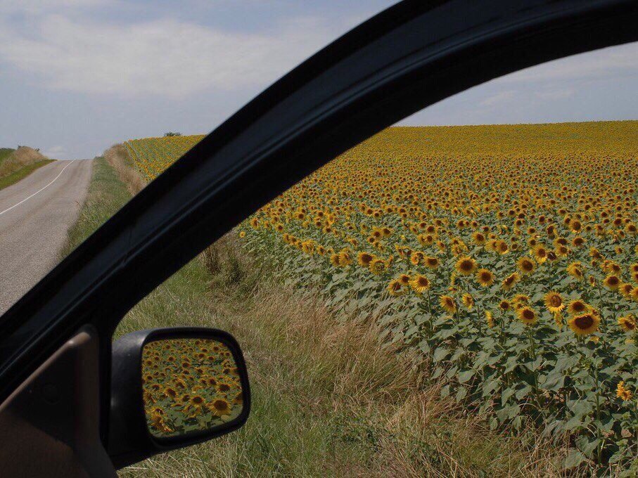 ,     ,        .    ,  ... - 2