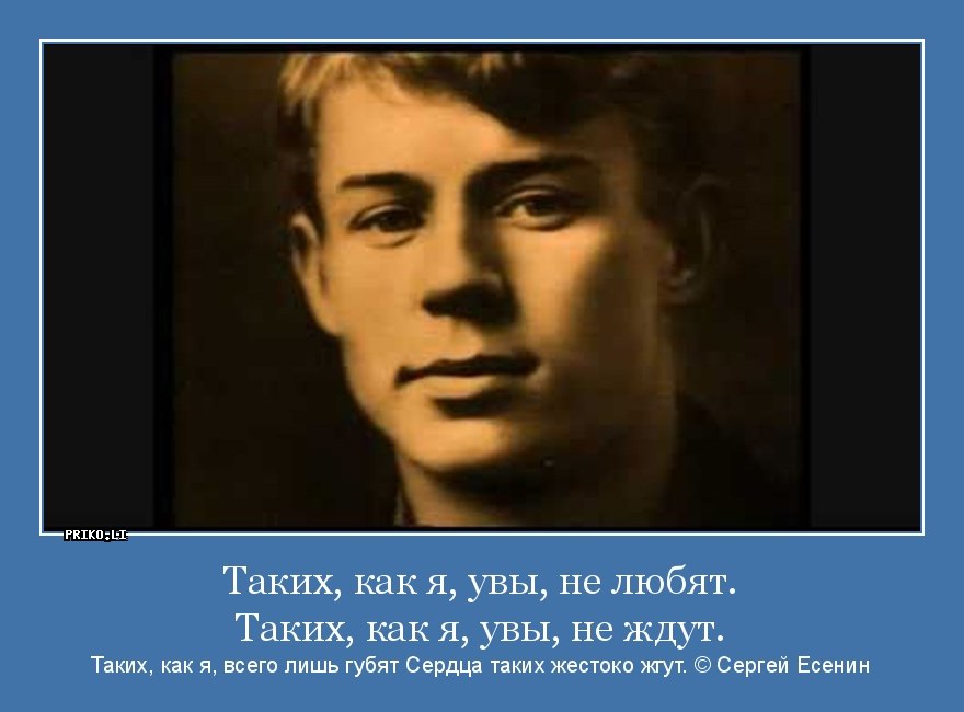 Мир вокруг нас - 2 января 2019 в 14:02 - 4