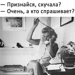 ��������, �������, 43 ����