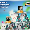 ���� ���������, �����������, 69 ��� - ��������� 26 �������� 2018 � ������ �������� �������-�������