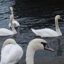 ���� ������, ������ - ��������� 21 �������� 2018 � ������ ���� ����������