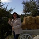 ���� ������, �������, 52 ���� - ��������� 14 ������� 2018 � ������ ���� ����������