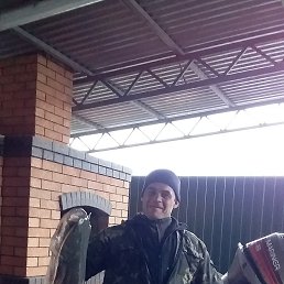 ���� ���������, ���������, 44 ���� - ��������� 24 ������� 2018