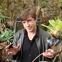  , -, 61  -  13  2018