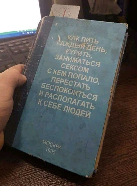   ))