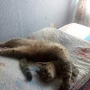 ���� ������, ���������, 55 ��� - ��������� 16 �������� 2018 � ������ ������ ��������