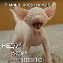 ���� ���������, ����-���, 62 ���� - ��������� 22 ������� 2018 � ������ ���