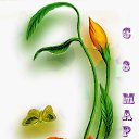 ���� Nikolass, ���� - ��������� 7 ����� 2019 � ������ �8 �����