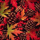 ���� �������, ������, 63 ���� - ��������� 17 ������� 2018 � ������ ������ ��������