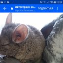 ���� ������, ��������� - ��������� 1 ������� 2019 � ������ ���� ����������