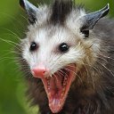 ���� ����, �����-��������� - ��������� 23 ������ 2019 � ������ ������ ��������