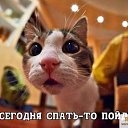 ���� ����-, ����������� - ��������� 5 ����� 2019 � ������ ���� ����������