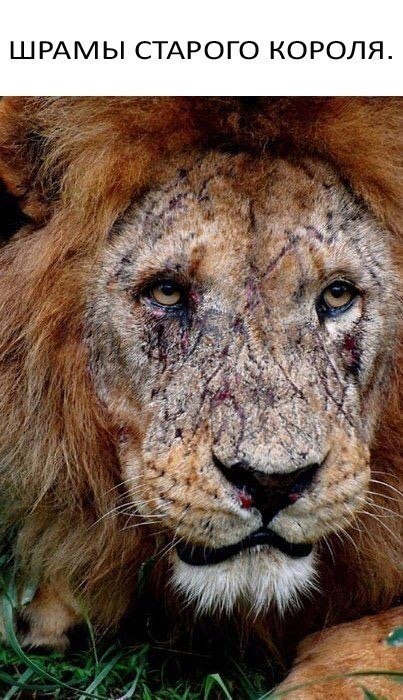 ������� - 28 �������� 2018 � 17:07