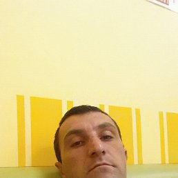 ����, ������, 46 ���