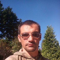 �����, ������, 41 ���