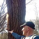 ���� �������, �������, 50 ��� - ��������� 21 ������� 2018 � ������ ���� ����������