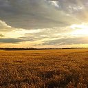 ���� Sergey, �����������, 53 ���� - ��������� 5 ������� 2019 � ������ ������ ��������