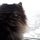 ���� �nyplace A Stranger, �����������, 64 ���� - ��������� 18 �������� 2018 � ������ ���� ����������