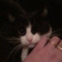 ���� �������, ����, 46 ��� - ��������� 13 ����� 2019 � ������ ������ ��������