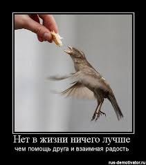 ***Victoria Viktorovna*** - 16  2018  06:35