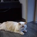 ���� ������, �����������, 57 ��� - ��������� 2 ������ 2018 � ������ ���� ����������