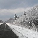 ���� ������, ���������, 53 ���� - ��������� 23 ������� 2019