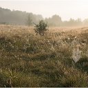 ���� ���������, ���������, 51 ��� - ��������� 30 ������� 2018 � ������ ���� ����������