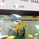 ���� �������, ���������, 40 ��� - ��������� 20 ������� 2018 � ������ ���� ����������