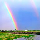  Alex, , 68  -  15  2019     ޻