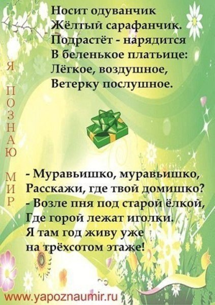 Стихи для заучивания, для детей с 2 лет и старше. Полезный тренажер. - 5