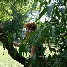 �������, ������, 48 ���