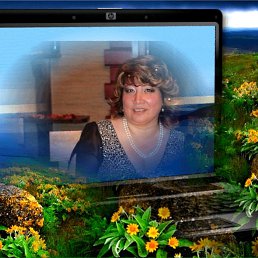 �����, ������, 54 ����